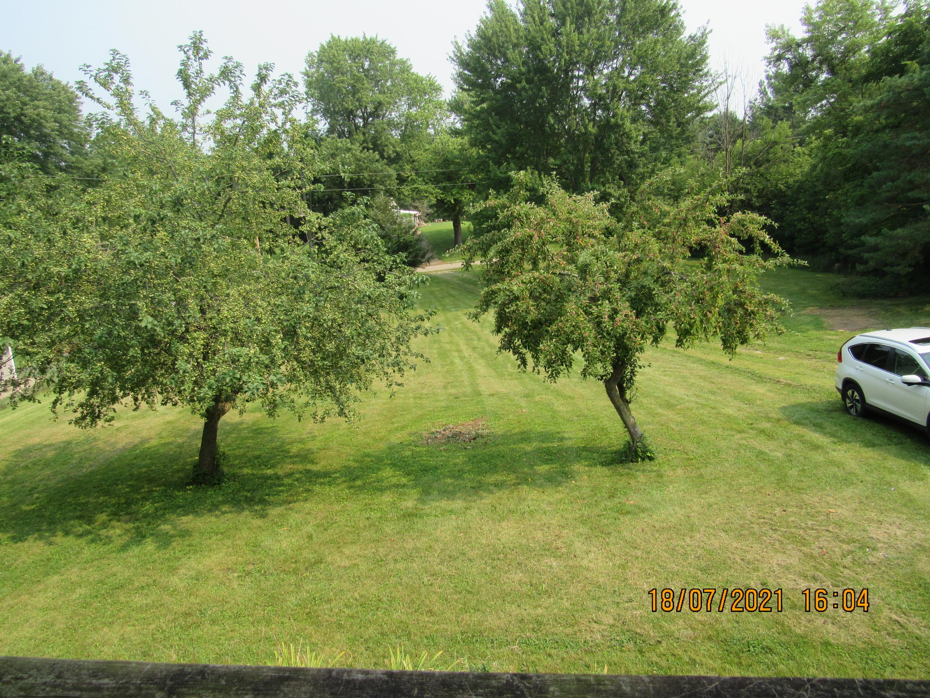 7181 Elm Grove Road Circleville, OH 43113 - Photo 7 of 14 Gallery Image 7