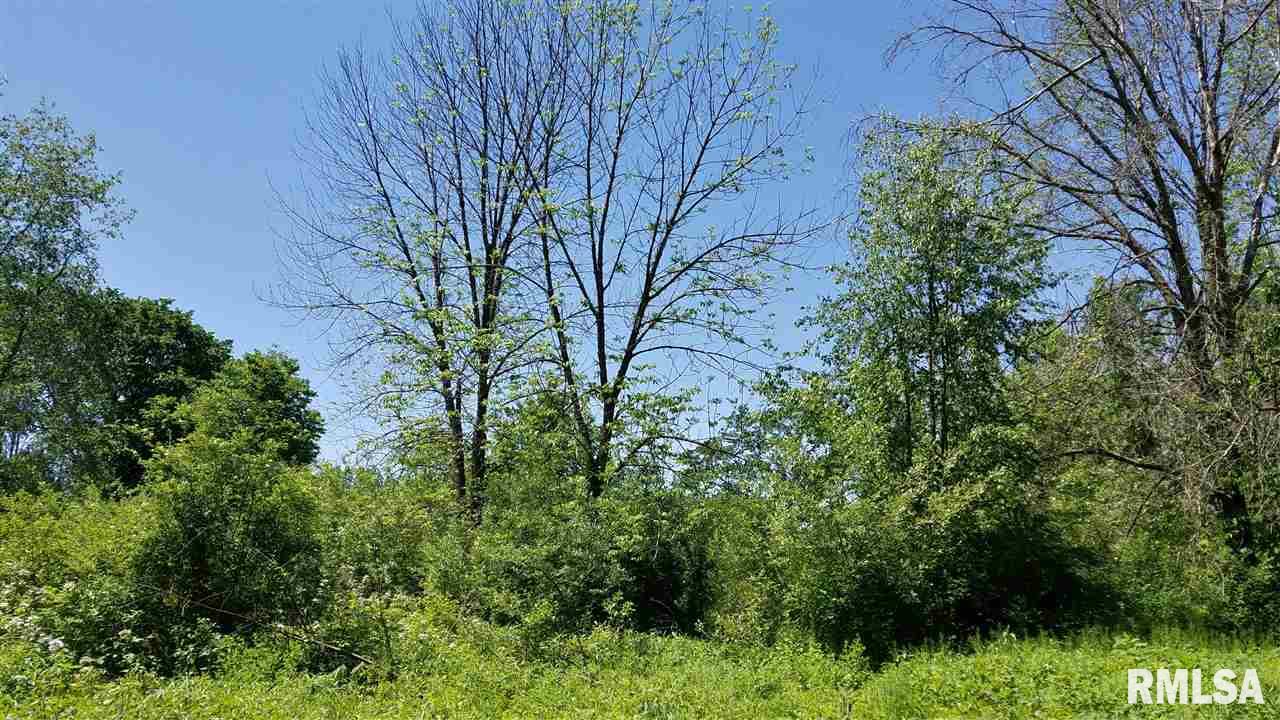 21 Forest View Road Dahinda, IL 61428 - Photo 1 of 3