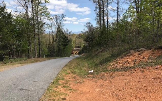 29 Brasstown View Road Murphy, NC 28906 - Photo 8 of 11 Additional View