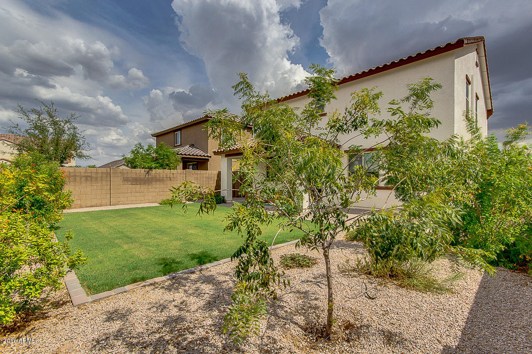 3346 East Roland Street Mesa, AZ 85213 - Photo 51 of 54 53-Roland