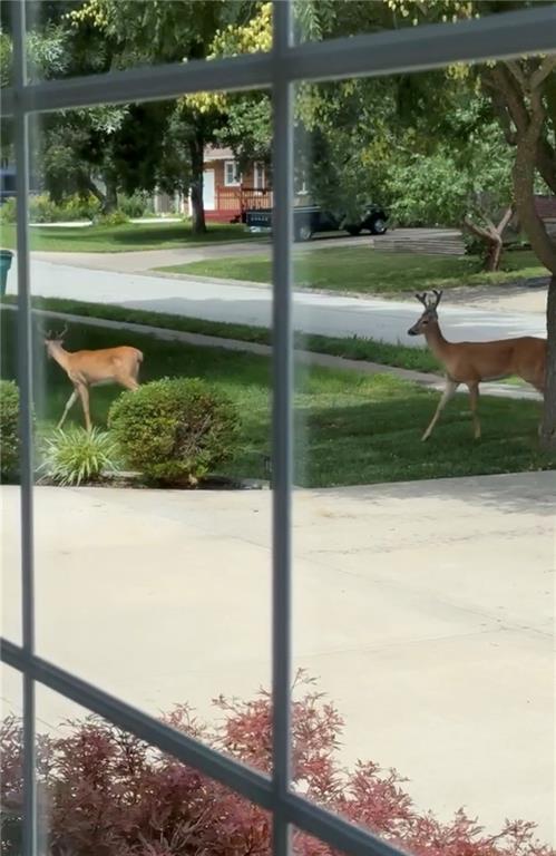 6036 Goodman Street Merriam, KS 66202 - Photo 5 of 8