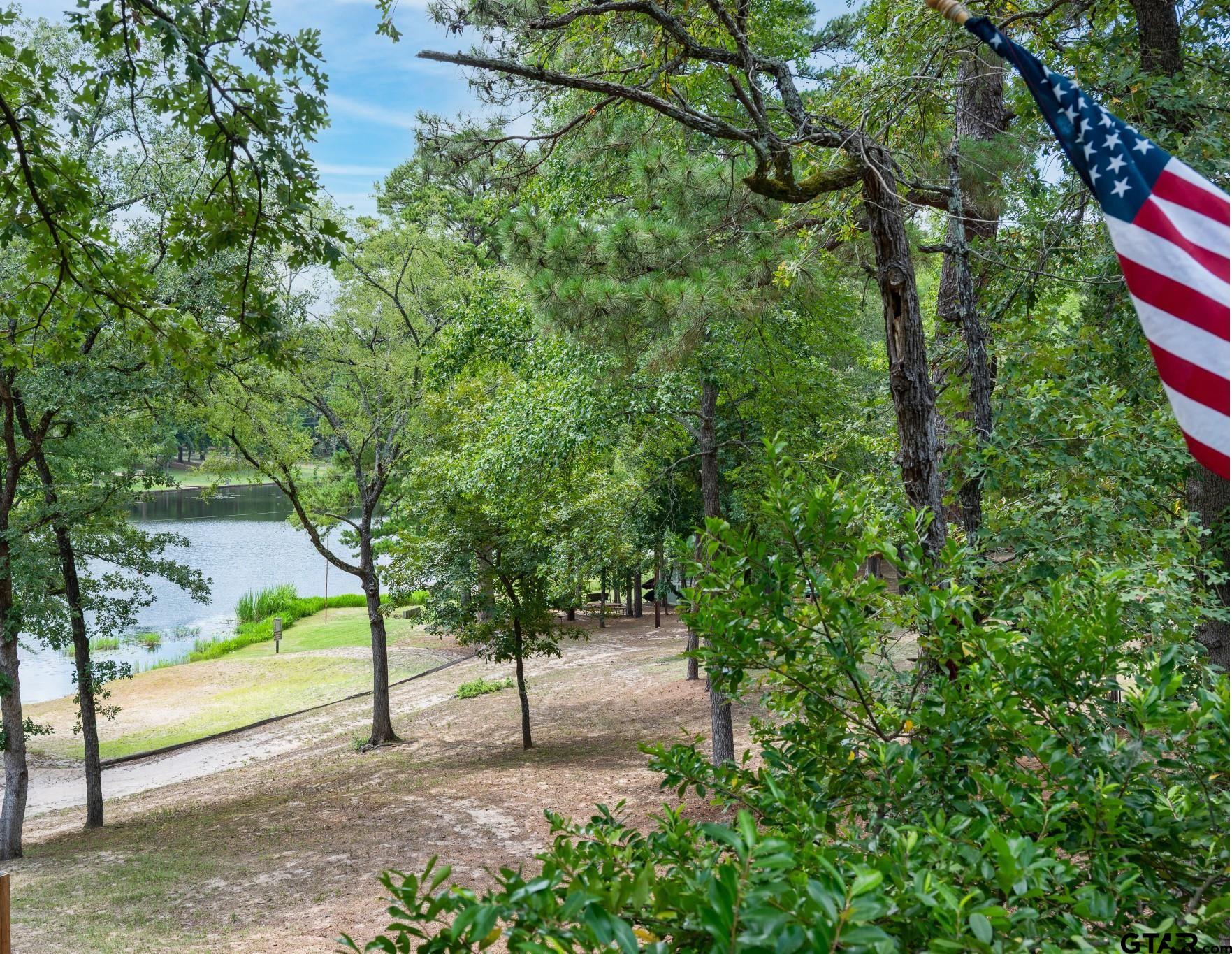 170 Wild Goose Lane Holly Lake Ranch, TX 75765 - Photo 1 of 38