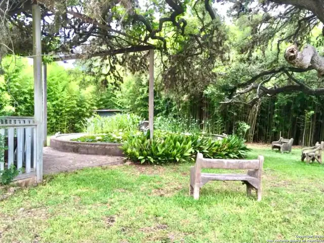 a garden with lots of trees and plants