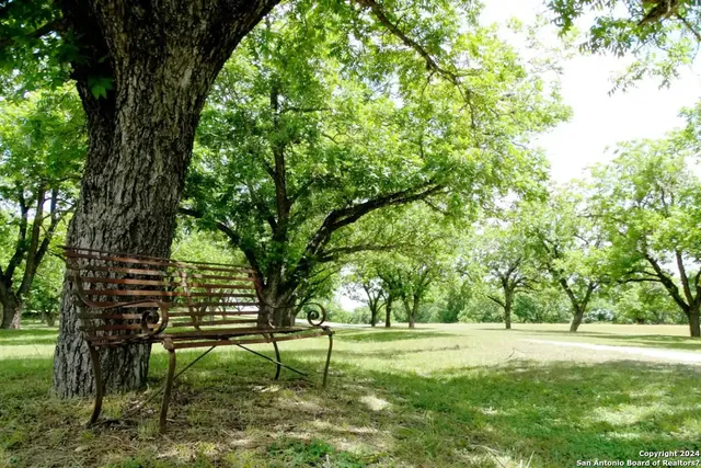 a view of a park with trees in the background
