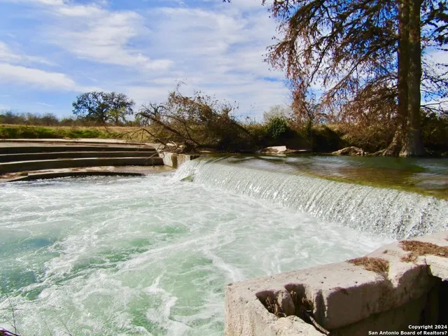 a view of a yard with swimming pool and trees in the background