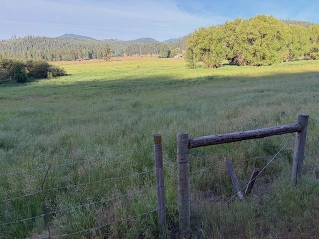 29-xx Red Marble Road Chewelah, WA 99109 - Photo 6 of 19