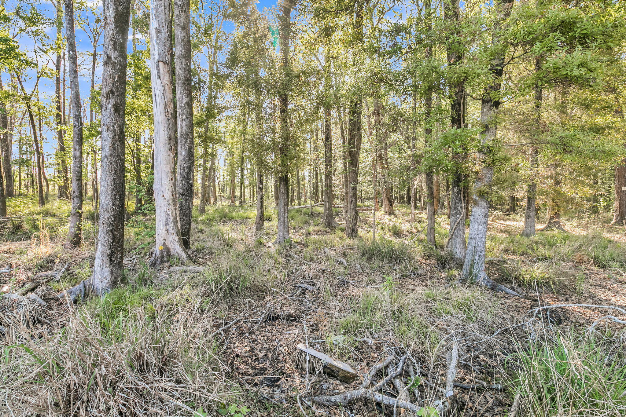 1126 Coastal Creek Ridgeville, SC 29472 - Photo 51 of 58 51