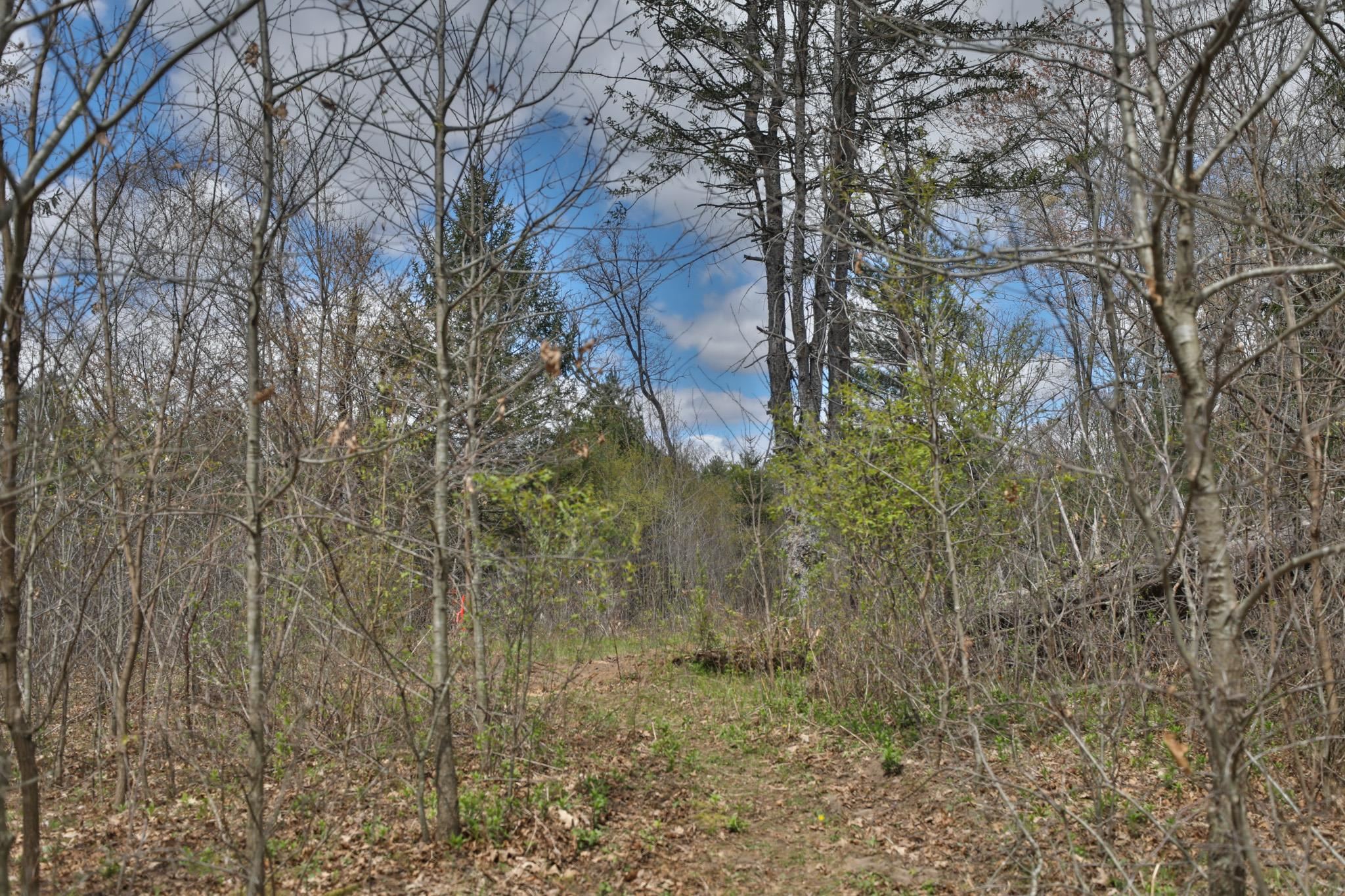 Lot 4 Grayling Tomah, WI 54660 - Photo 27 of 50