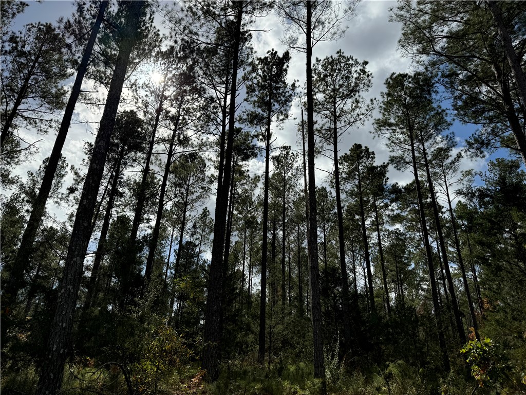4 Seneca St Extension Calhoun Falls, SC 29628 - Photo 5 of 10