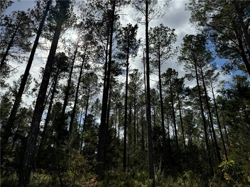 4 Seneca St Extension Calhoun Falls, SC 29628 - Photo 5 of 7
