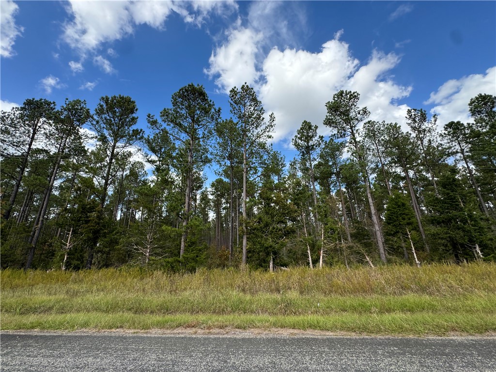 4 Seneca St Extension Calhoun Falls, SC 29628 - Photo 6 of 10