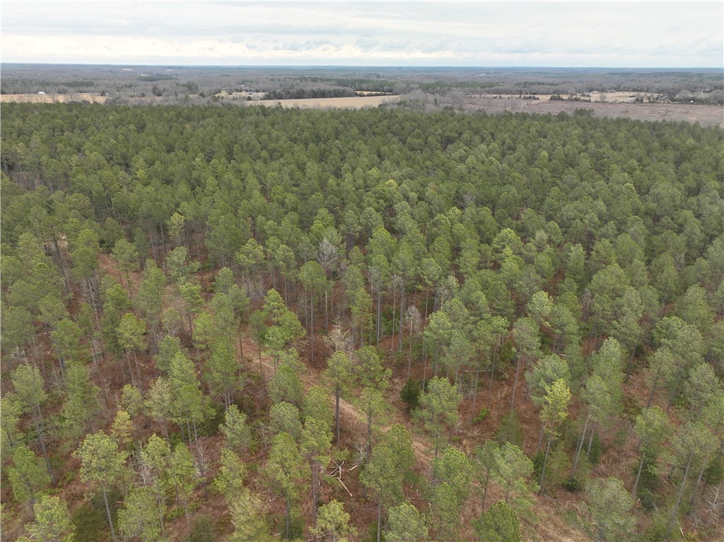 4 Seneca St Extension Calhoun Falls, SC 29628 - Photo 9 of 10 This expansive forest offers a serene natural setting, ideal for privacy and outdoor enjoyment.