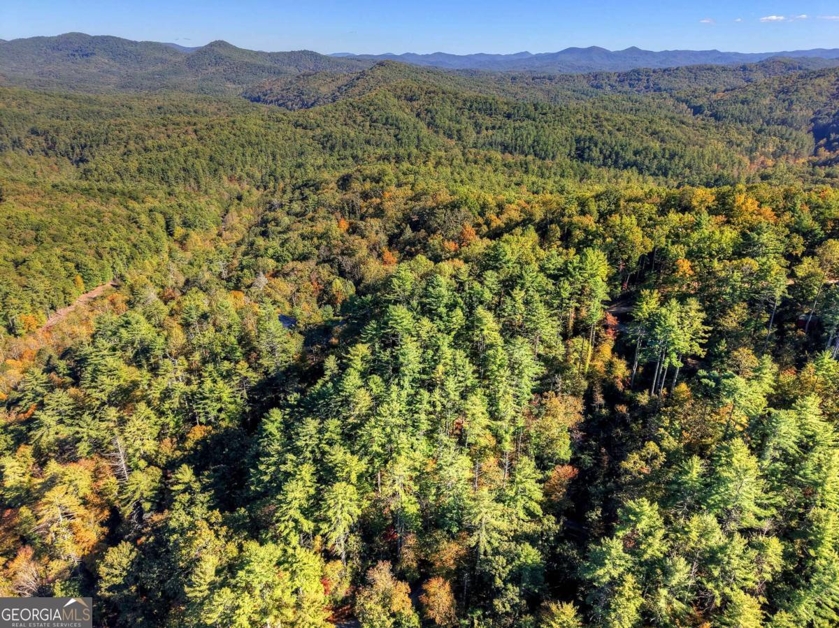 1.9-ac Bell Cp Rdg Road Blue Ridge, GA 30513 - Photo 14 of 16 a view of a forest with a mountain