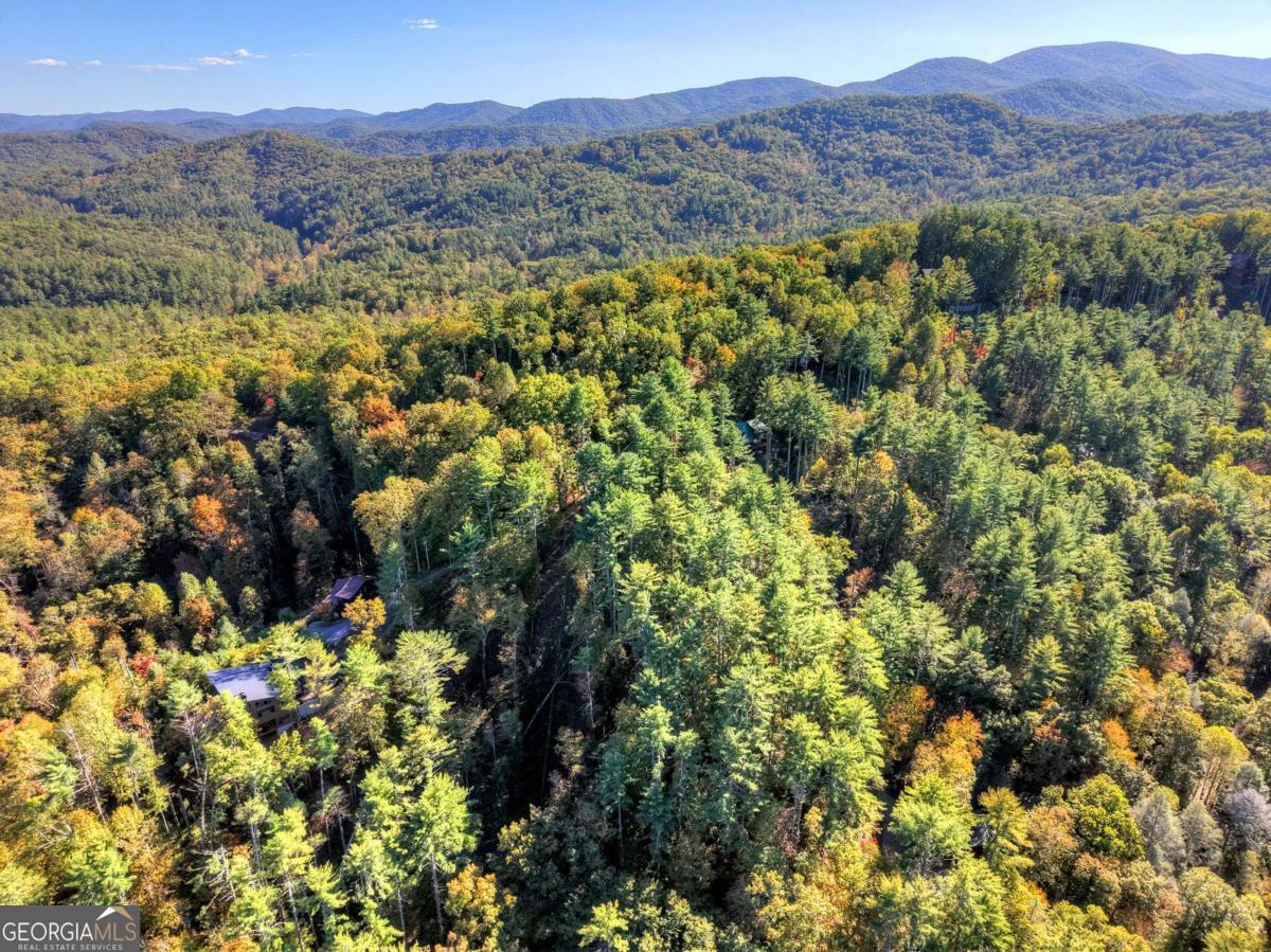 1.9-ac Bell Cp Rdg Road Blue Ridge, GA 30513 - Photo 15 of 16