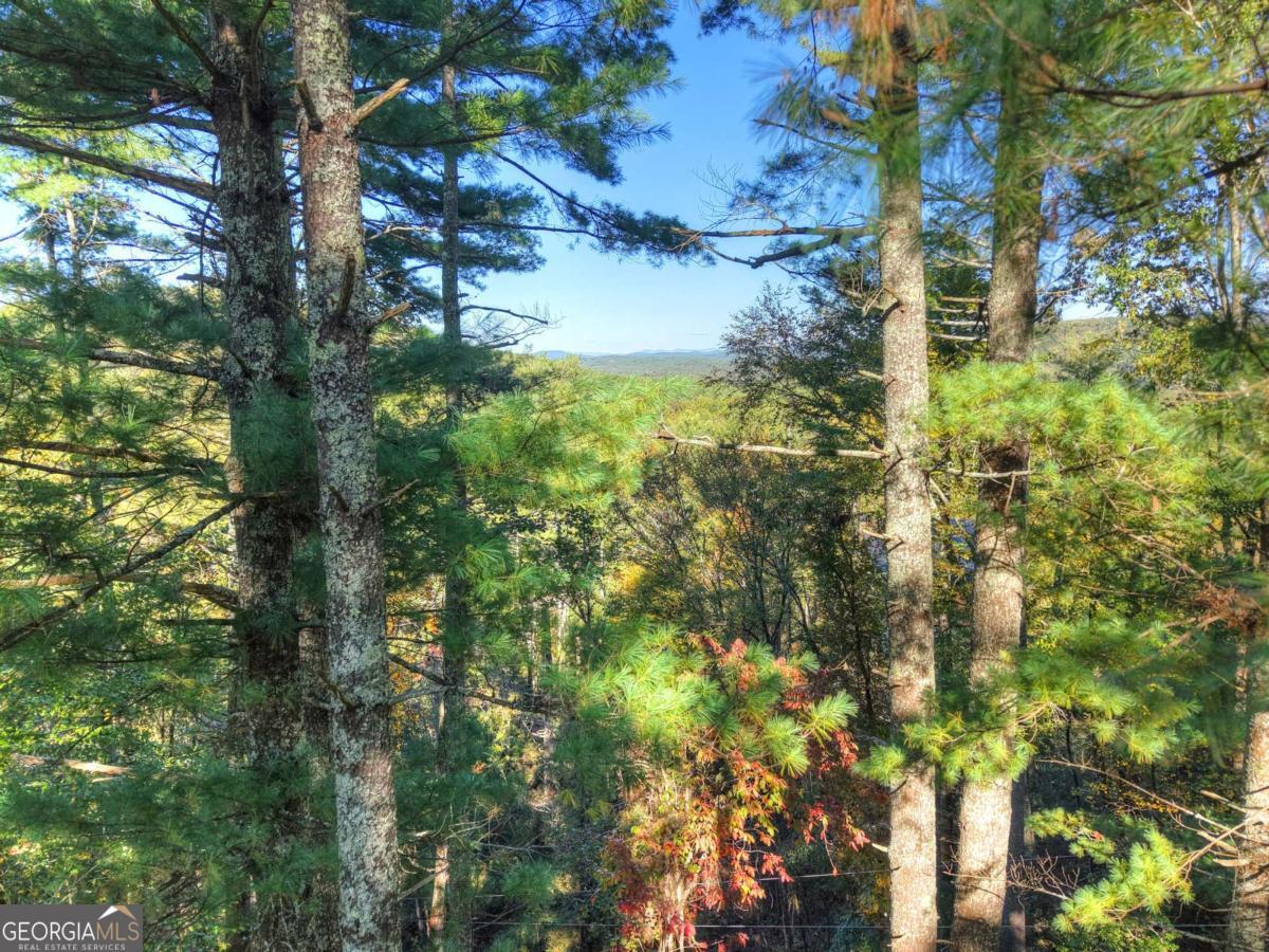 1.9-ac Bell Cp Rdg Road Blue Ridge, GA 30513 - Photo 4 of 16 a view of a trees