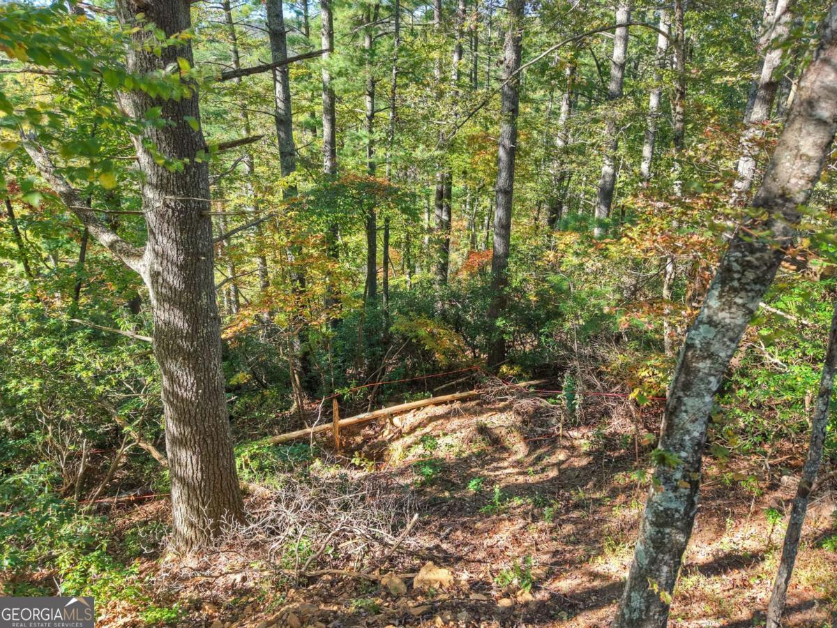 1.9-ac Bell Cp Rdg Road Blue Ridge, GA 30513 - Photo 6 of 16 a backyard of a house with lots of trees