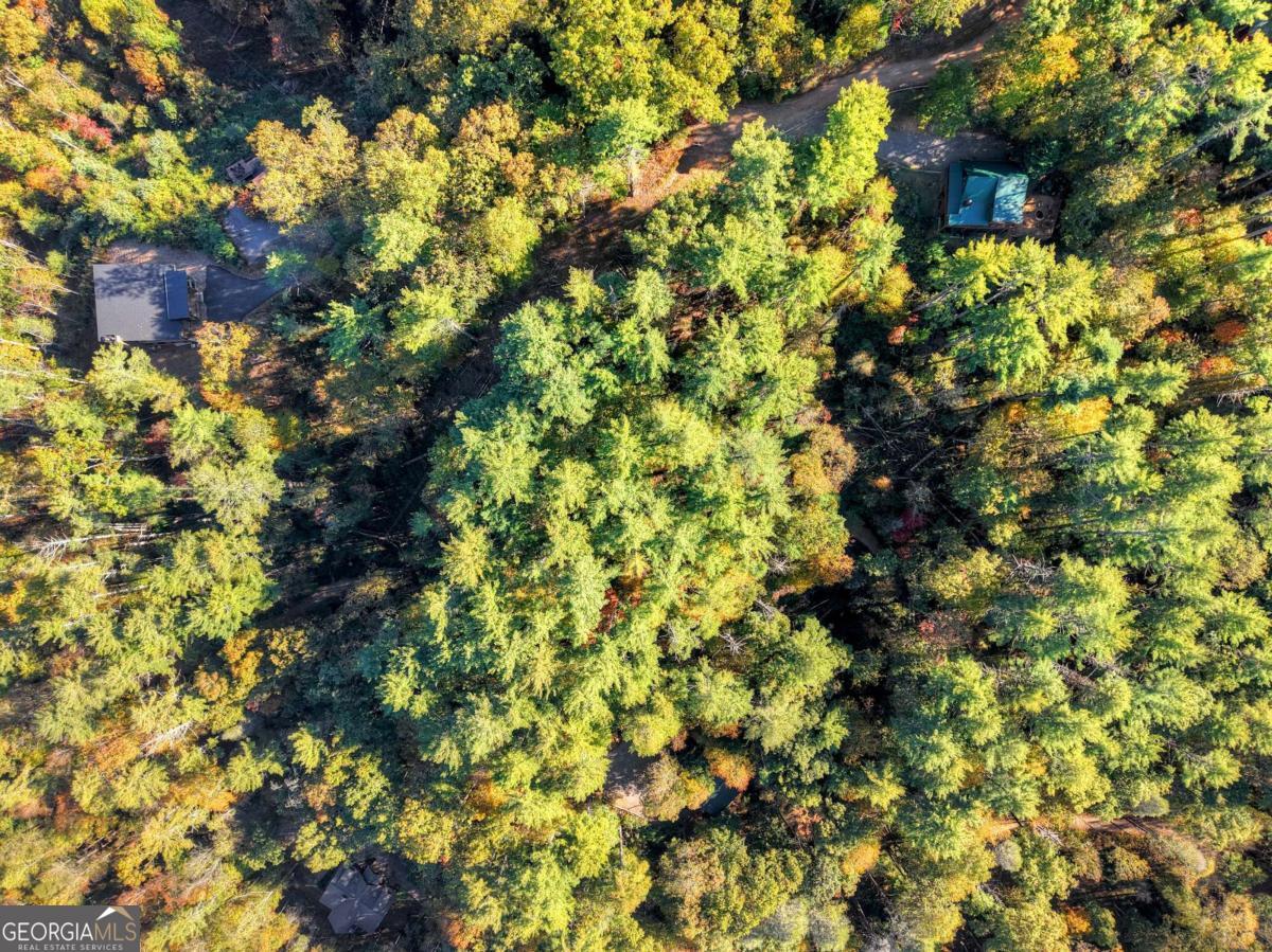 1.9-ac Bell Cp Rdg Road Blue Ridge, GA 30513 - Photo 7 of 16 a view of a tree