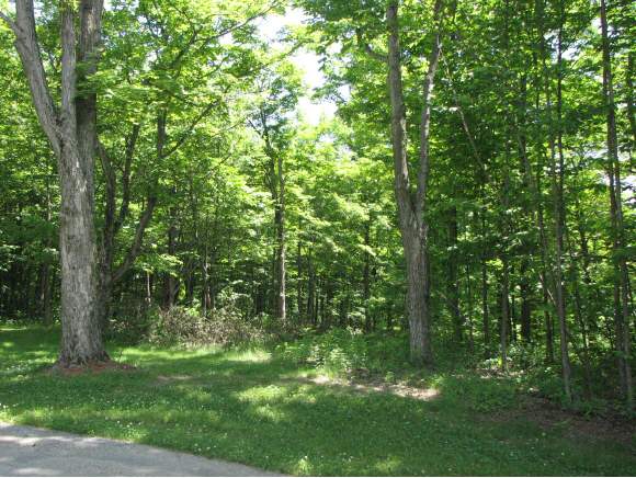 Lot #2 Maple Grove Estates Swanton, VT 05488 - Photo 1 of 1 Gallery Image 1