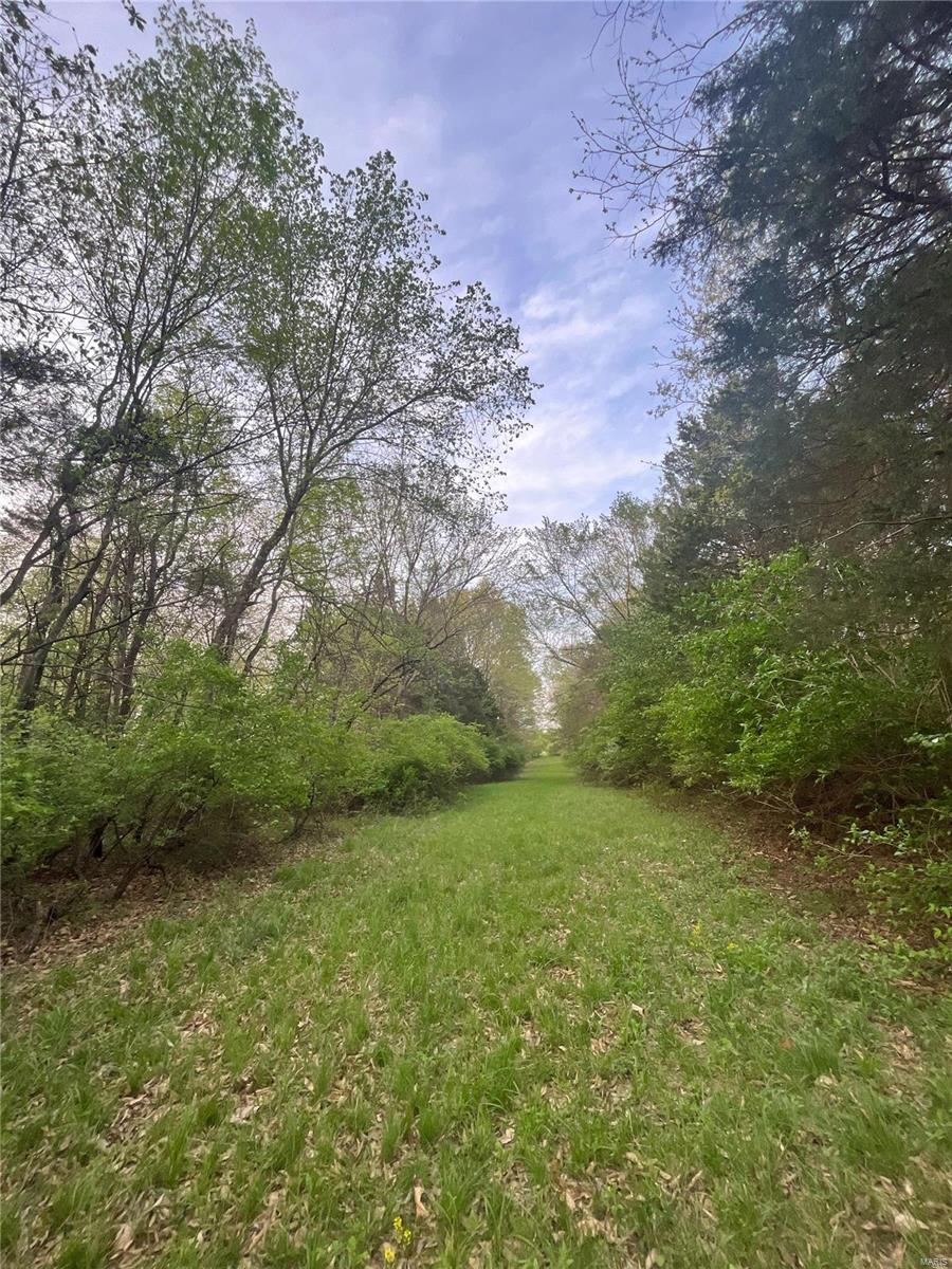 4045 Hwy D Defiance, MO 63341 - Photo 6 of 7