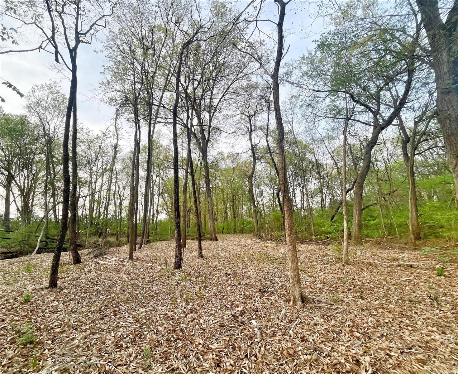 4045 Hwy D Defiance, MO 63341 - Photo 7 of 7