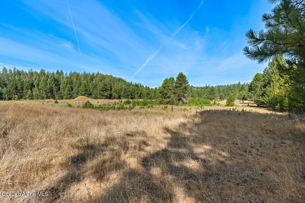 $1,580,000 | 95 Twin River Road, Athol, ID 83801