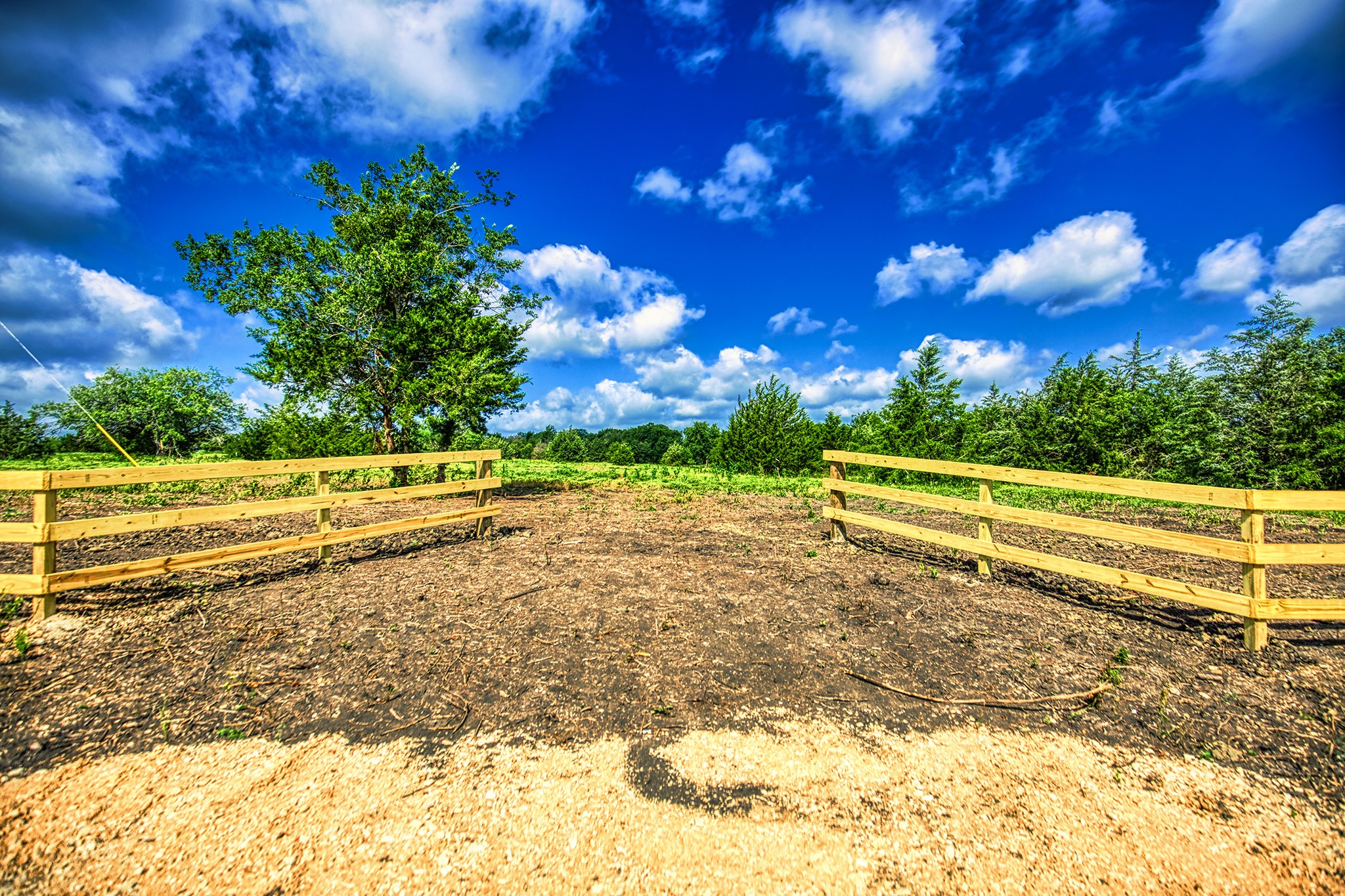 Lot 1 Wonder Hill Road Chappell Hill, TX 77426 - Photo 4 of 16 a view of a yard with wooden fence