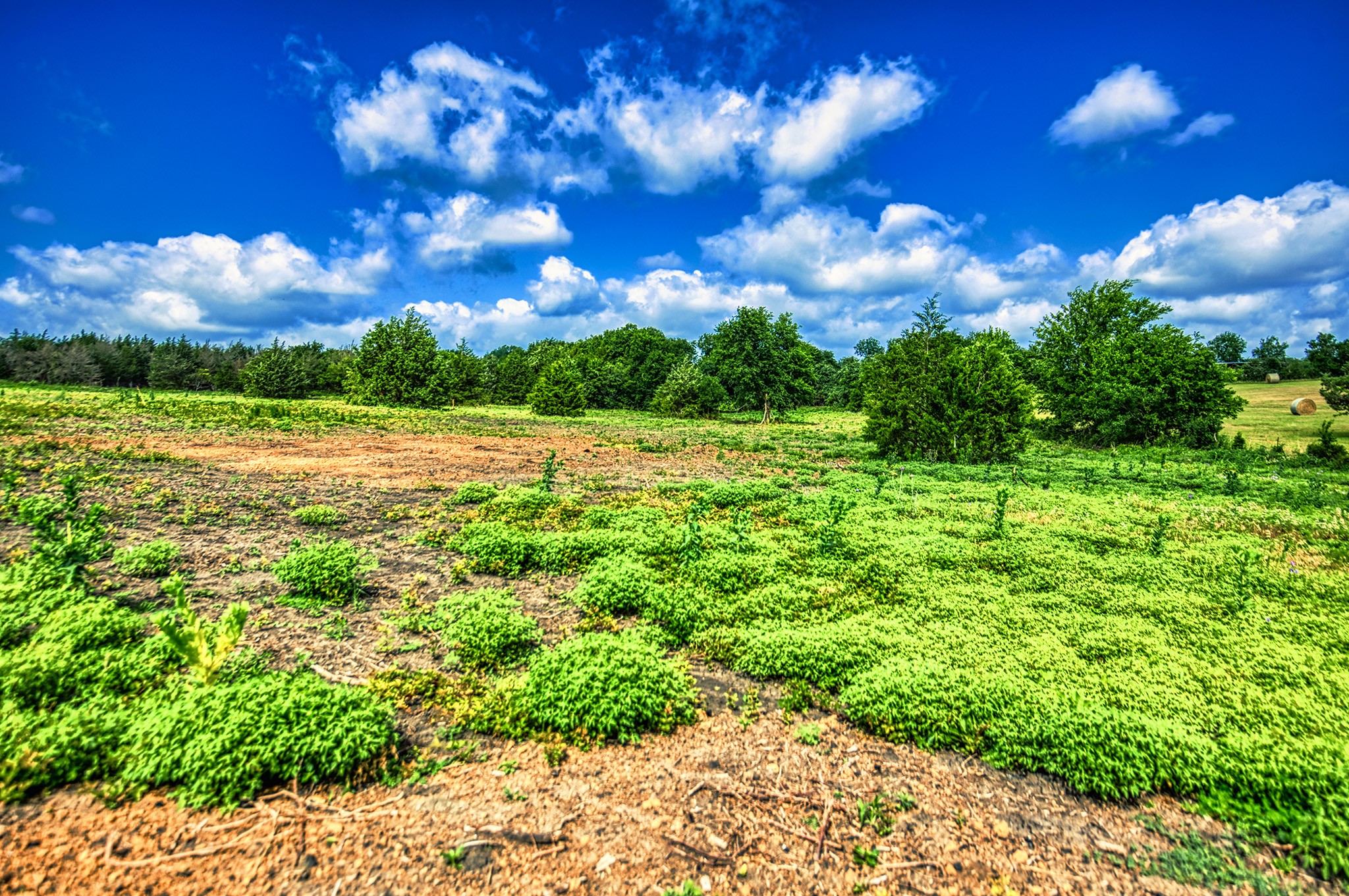 Lot 1 Wonder Hill Road Chappell Hill, TX 77426 - Photo 5 of 16 a view of an outdoor space and yard