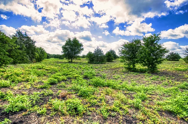 $197,680 | Lot 1 Wonder Hill Road, Chappell Hill, TX 77426