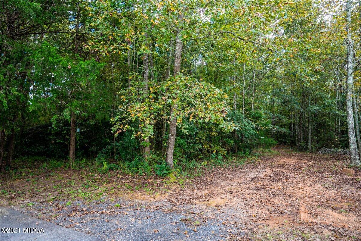 1939 Dames Ferry Road Forsyth, GA 31029 - Photo 27 of 29 a view of outdoor space and trees