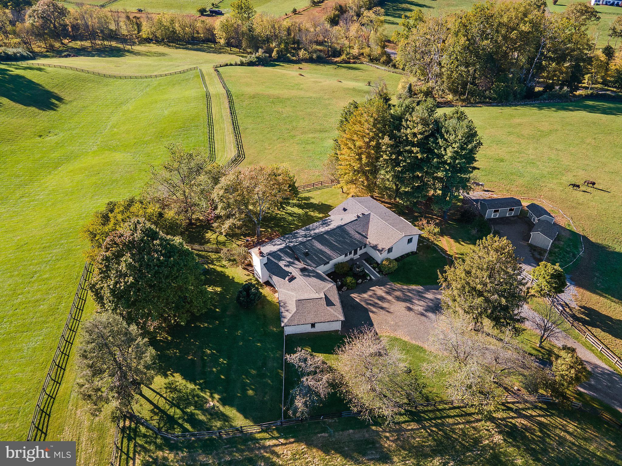 aerial