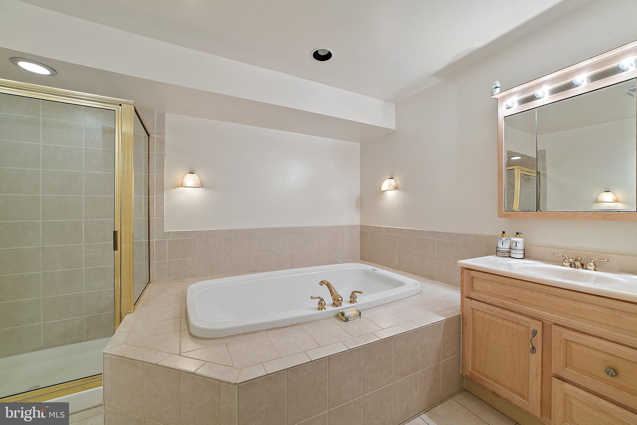 8286 Stable Gate Road Warrenton, VA 20186 - Photo 40 of 52 bathroom in basement