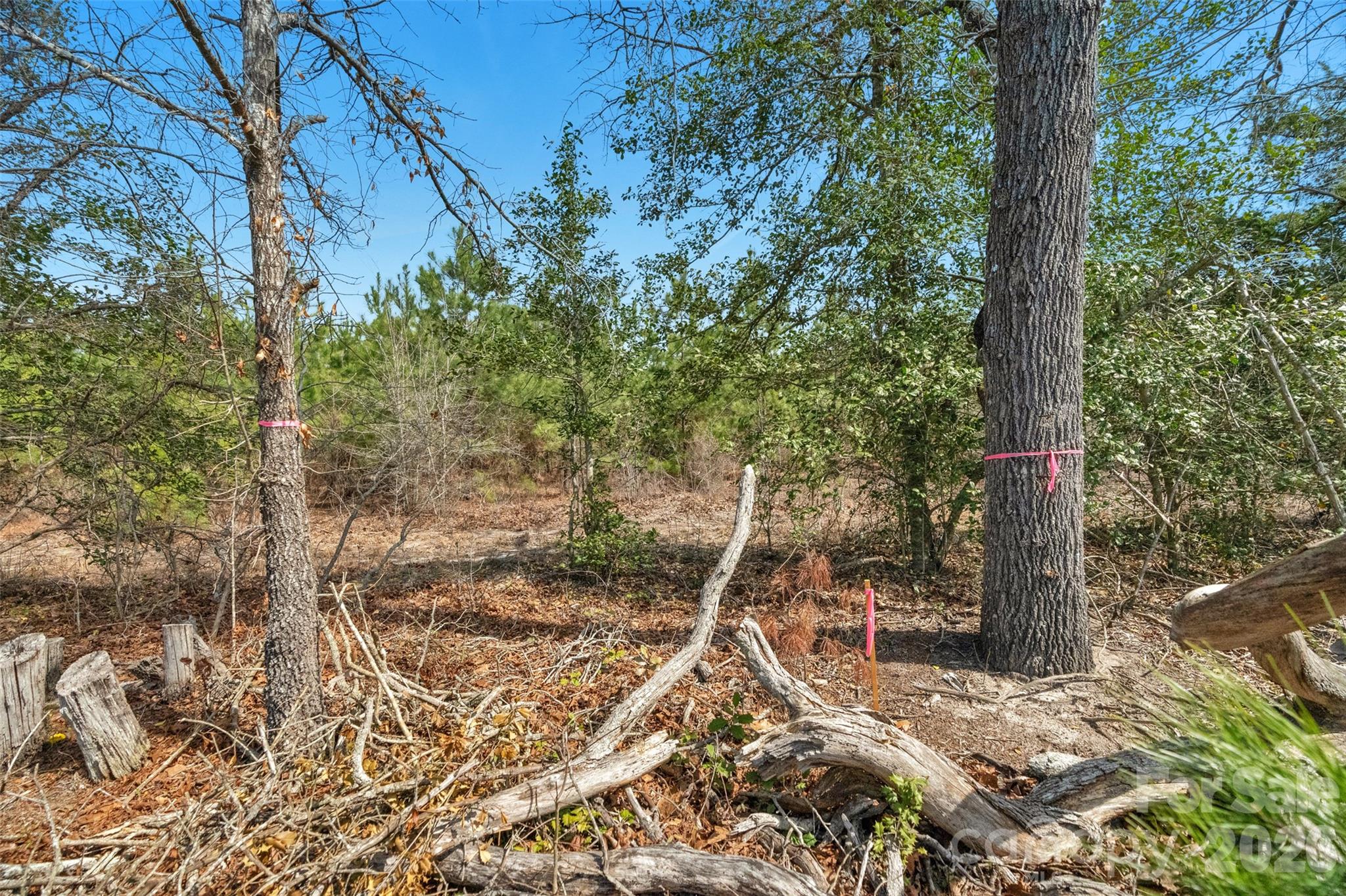 931 Charlie Johnson Road, Unit 2 Kershaw, SC 29067 - Photo 21 of 35