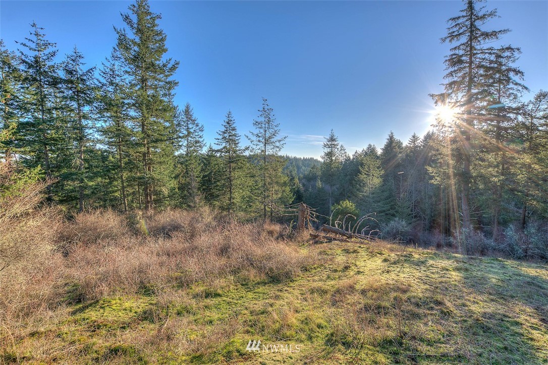 4489 Point Lawrence Road Orcas Island, WA 98279 - Photo 1 of 10 Gallery Image 1