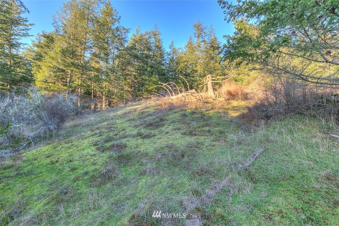 4489 Point Lawrence Road Orcas Island, WA 98279 - Photo 3 of 10 Gallery Image 3