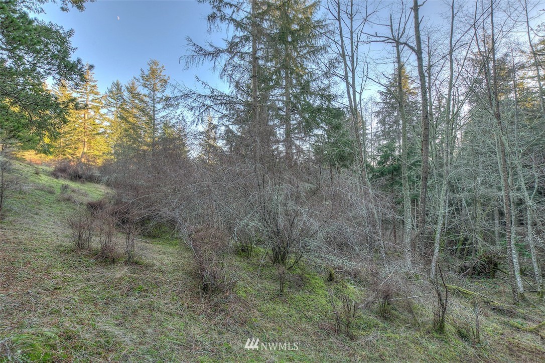 4489 Point Lawrence Road Orcas Island, WA 98279 - Photo 4 of 10 Gallery Image 4