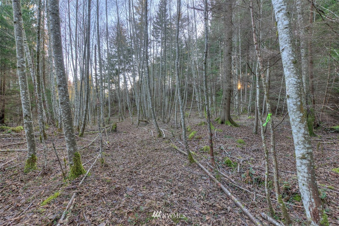 4489 Point Lawrence Road Orcas Island, WA 98279 - Photo 6 of 10 Gallery Image 6