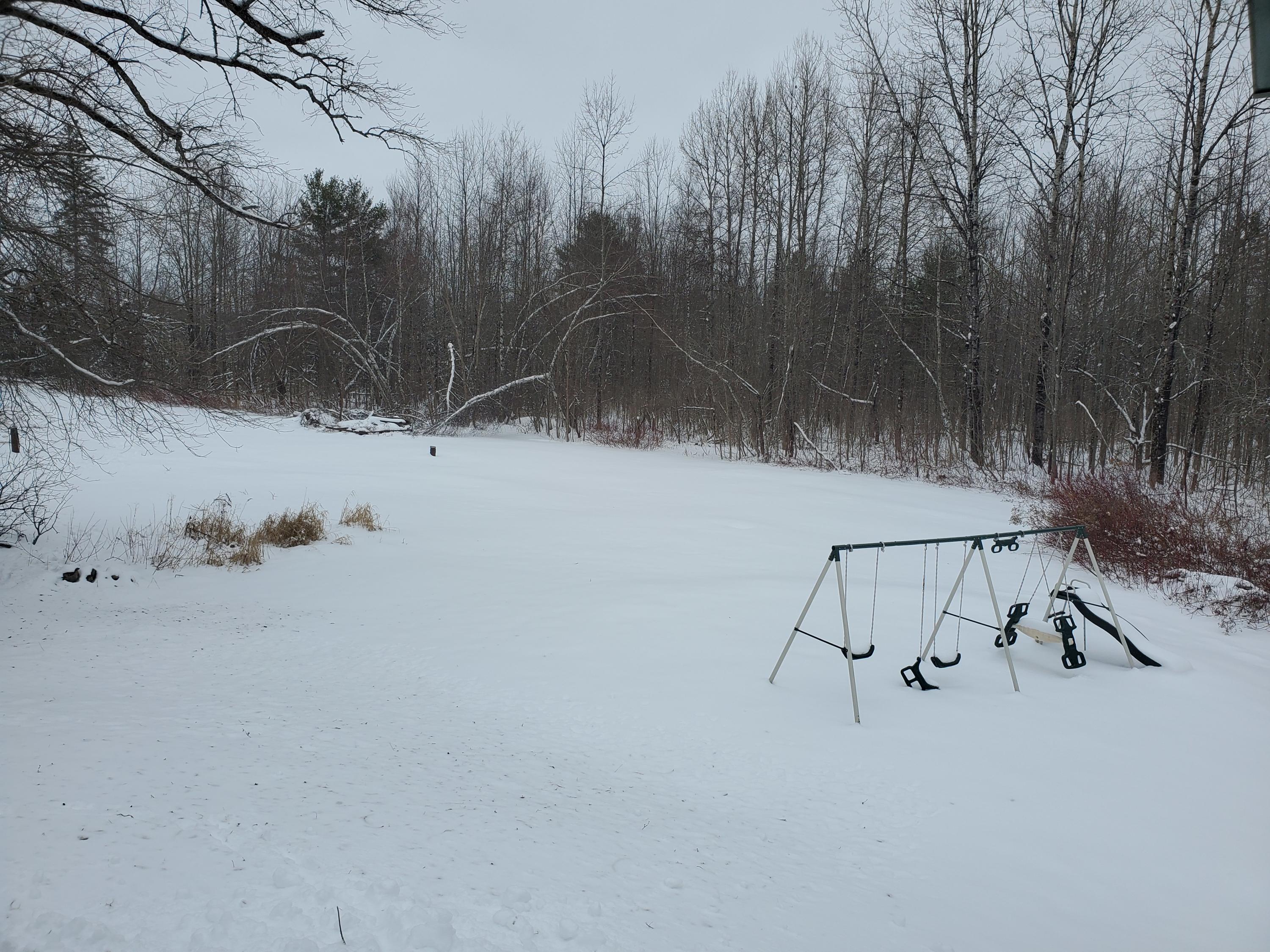 116 Higgins Road Pittsfield, ME 04967 - Photo 19 of 20 20210105_121616