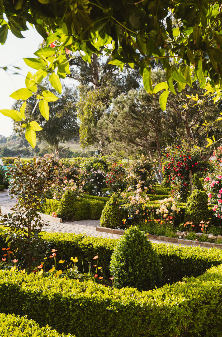 1077 Summit Road Santa Barbara, CA 93108 - Photo 38 of 49 a view of lake from yard