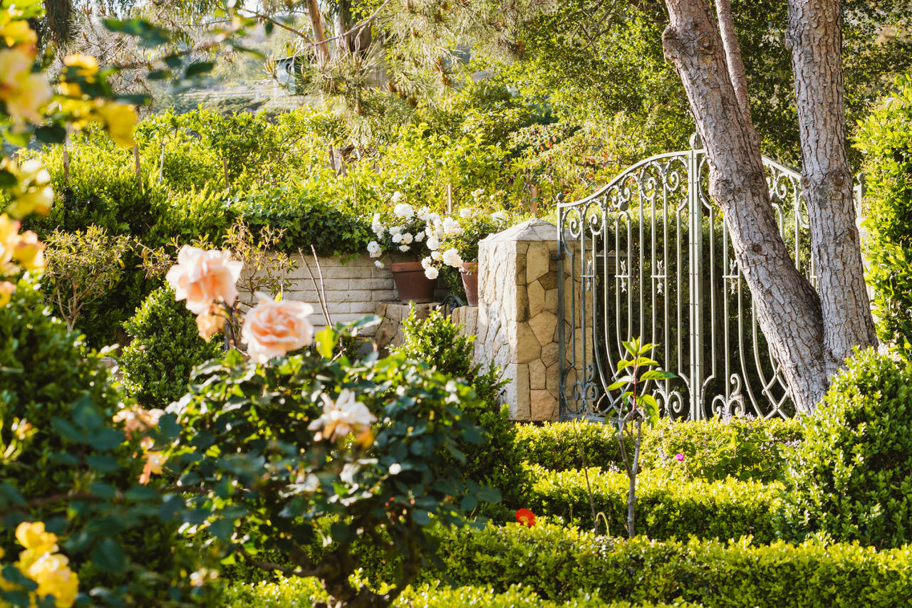 1077 Summit Road Santa Barbara, CA 93108 - Photo 39 of 49 a garden view