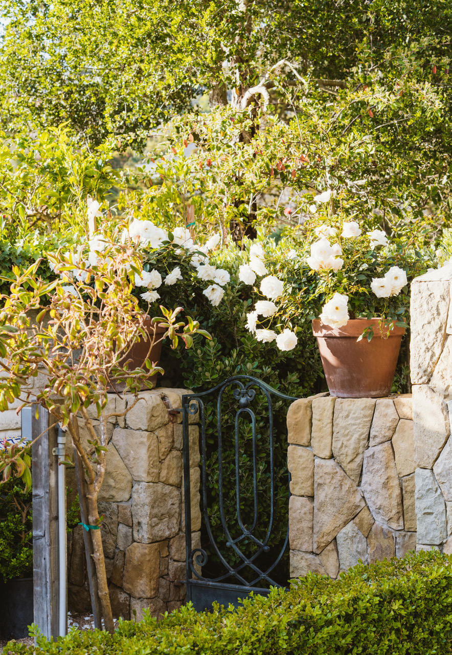 1077 Summit Road Santa Barbara, CA 93108 - Photo 40 of 49 a backyard of a house with lots of green space