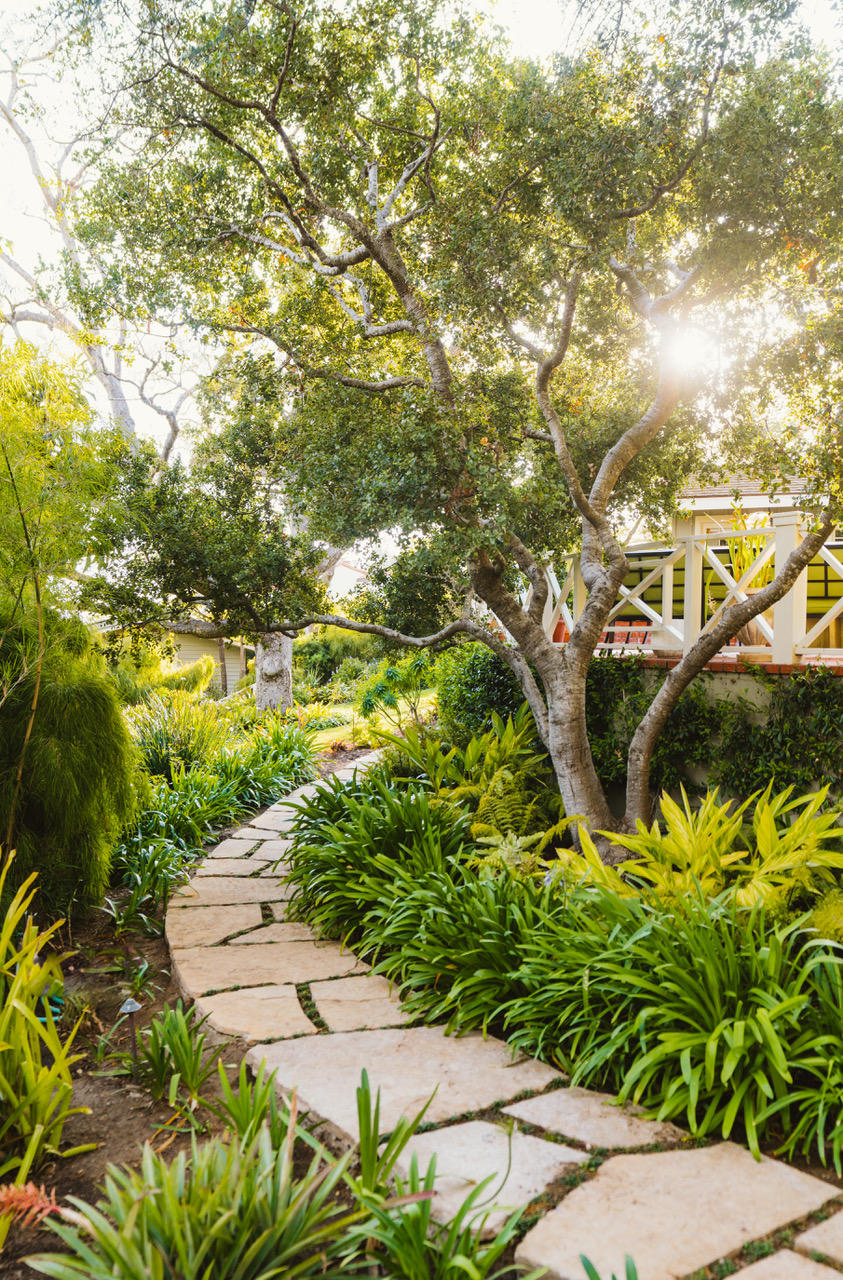 1077 Summit Road Santa Barbara, CA 93108 - Photo 45 of 49 a view of a yard with plants and large trees