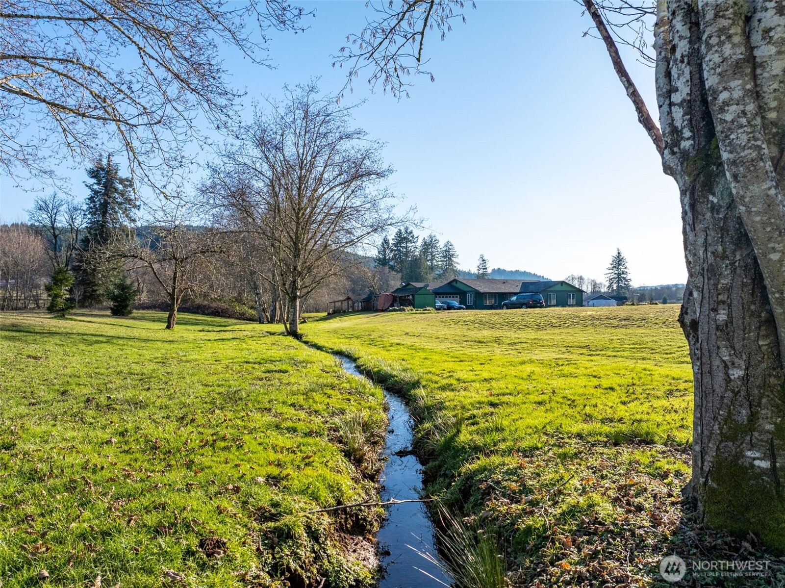 146 Rocky Lane Chehalis, WA 98532 - Photo 34 of 40 a view of yard with swimming pool