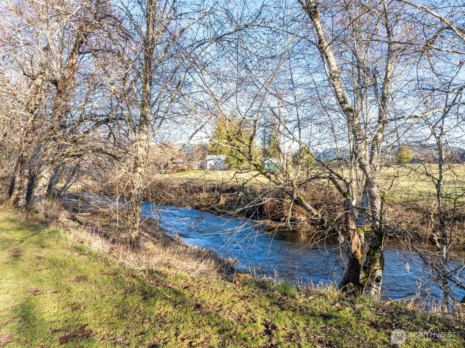 146 Rocky Lane Chehalis, WA 98532 - Photo 35 of 40 a view of yard from a tree