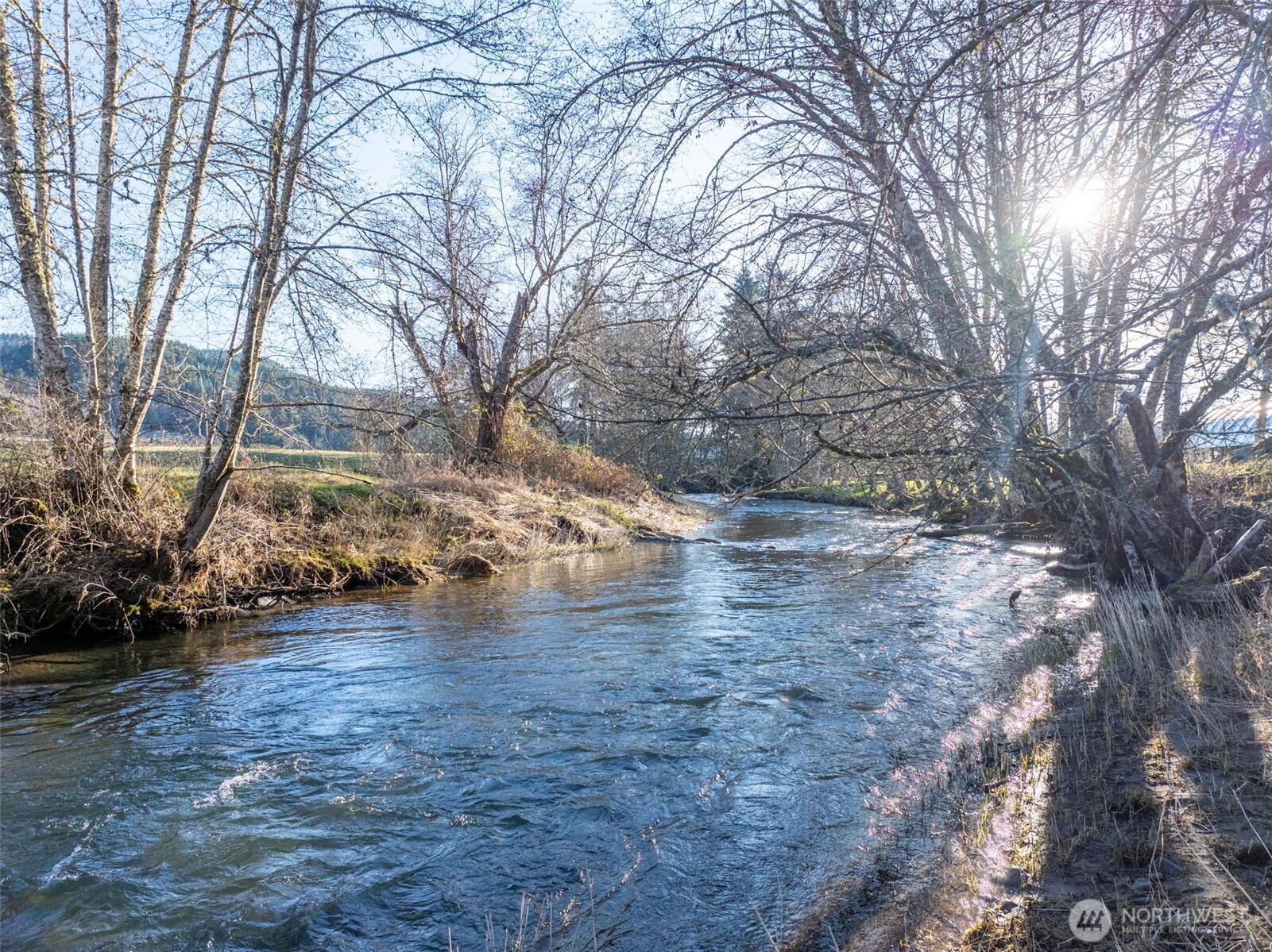 146 Rocky Lane Chehalis, WA 98532 - Photo 36 of 40 a view of yard with trees