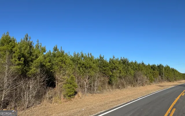 $199,900 | Lot 1 A Whitfield Road, Elko, GA 31025