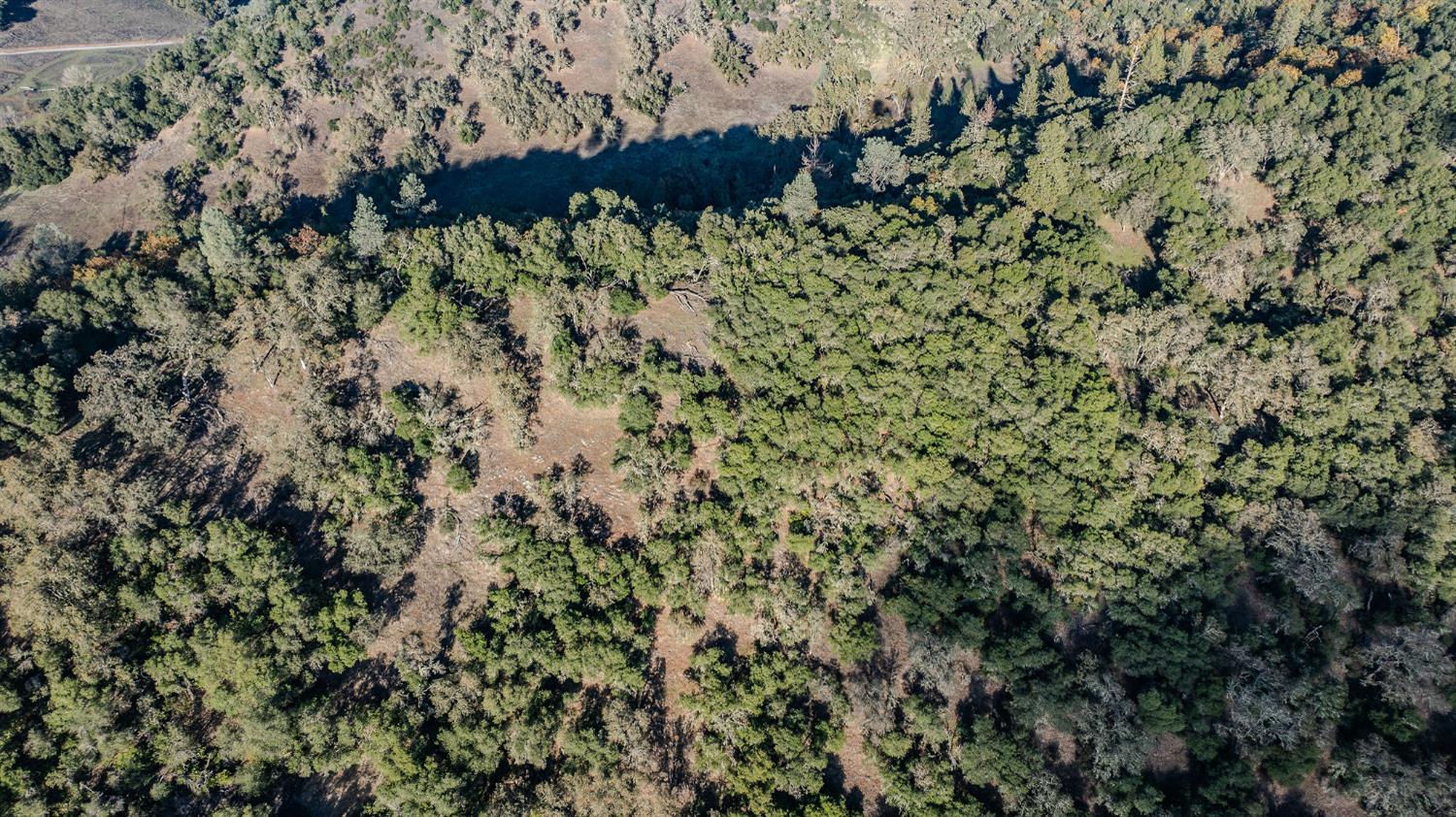 71 Hawver Road San Andreas, CA 95249 - Photo 45 of 96