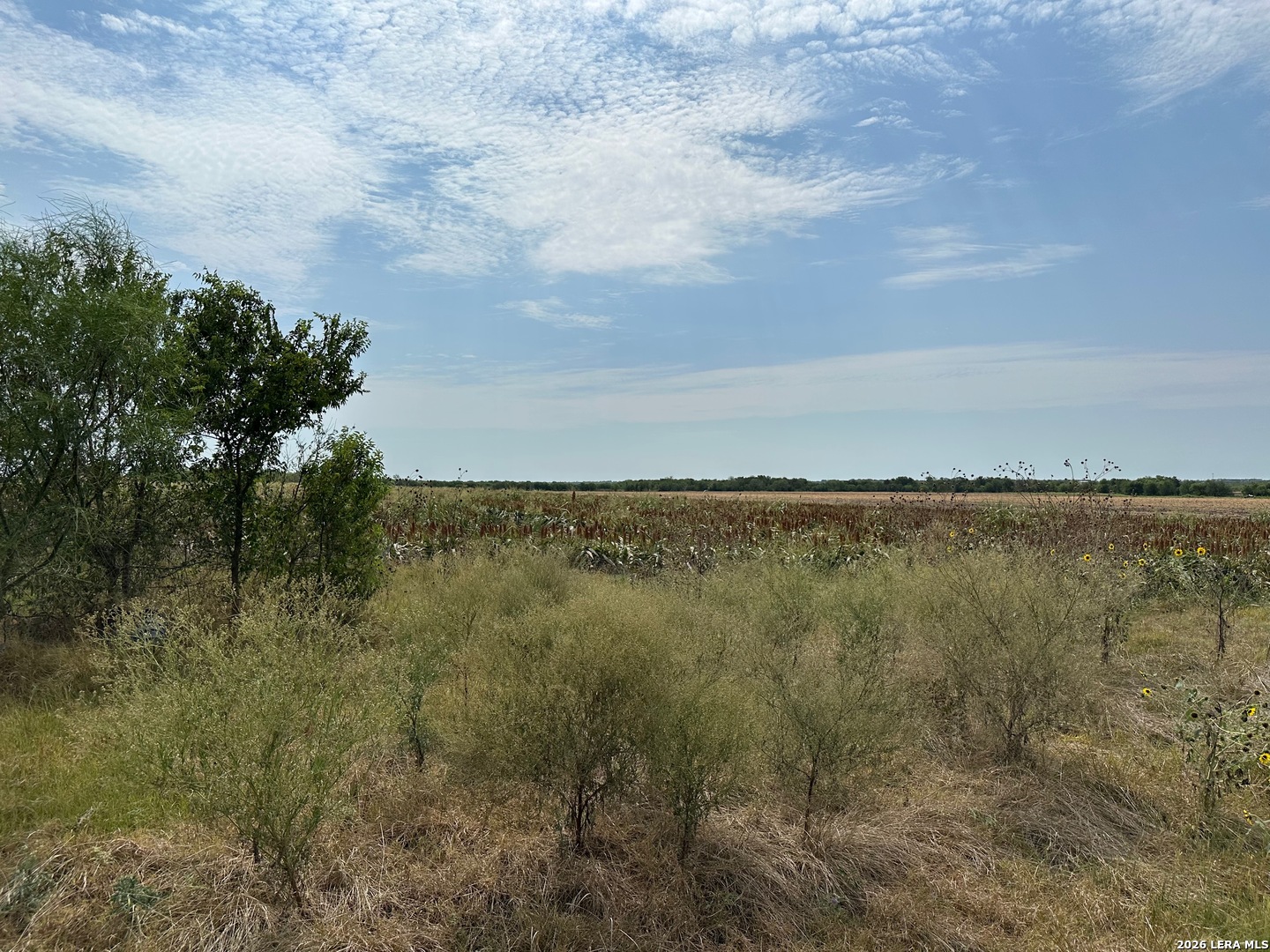 3640 Freudenburg Road Converse, TX 78109 - Photo 4 of 13 Gallery Image 4
