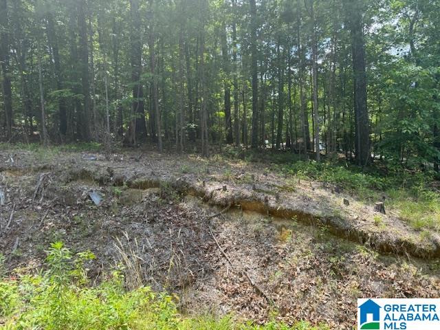 62 Bluebird Lane, Unit 11 Springville, AL 35146 - Photo 6 of 8