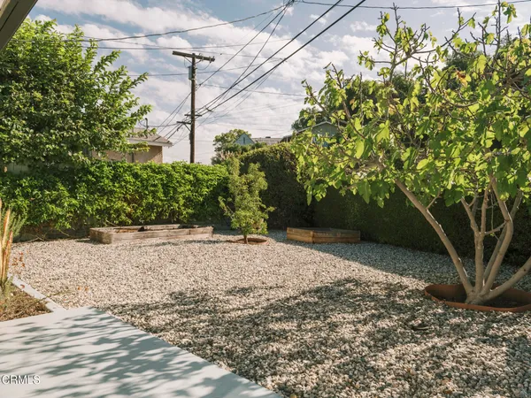 a view of a yard with plants and trees