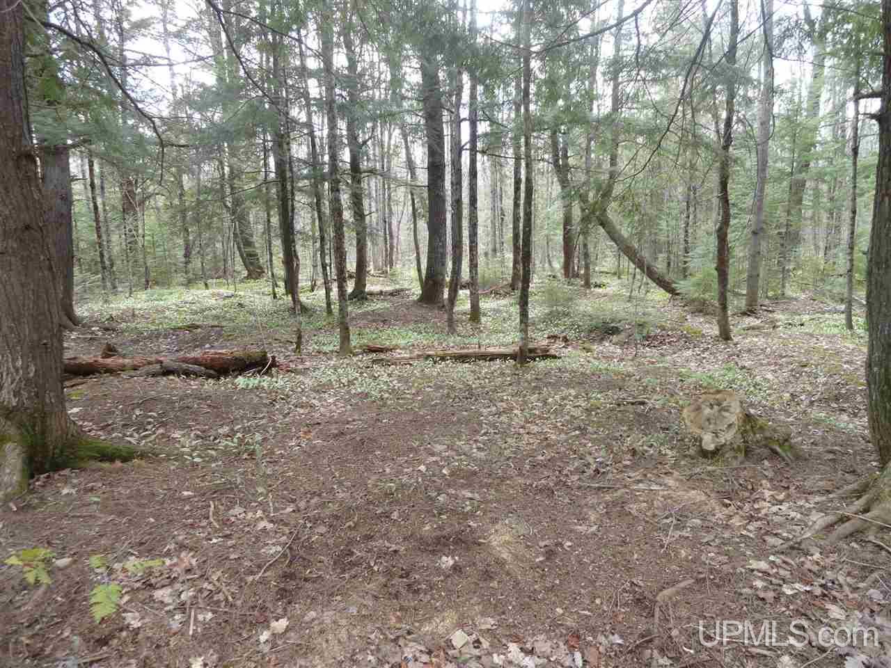East Shore Road Marenisco, MI 49947 - Photo 8 of 12